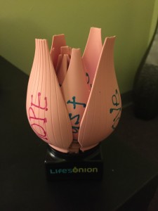 the onion 3
