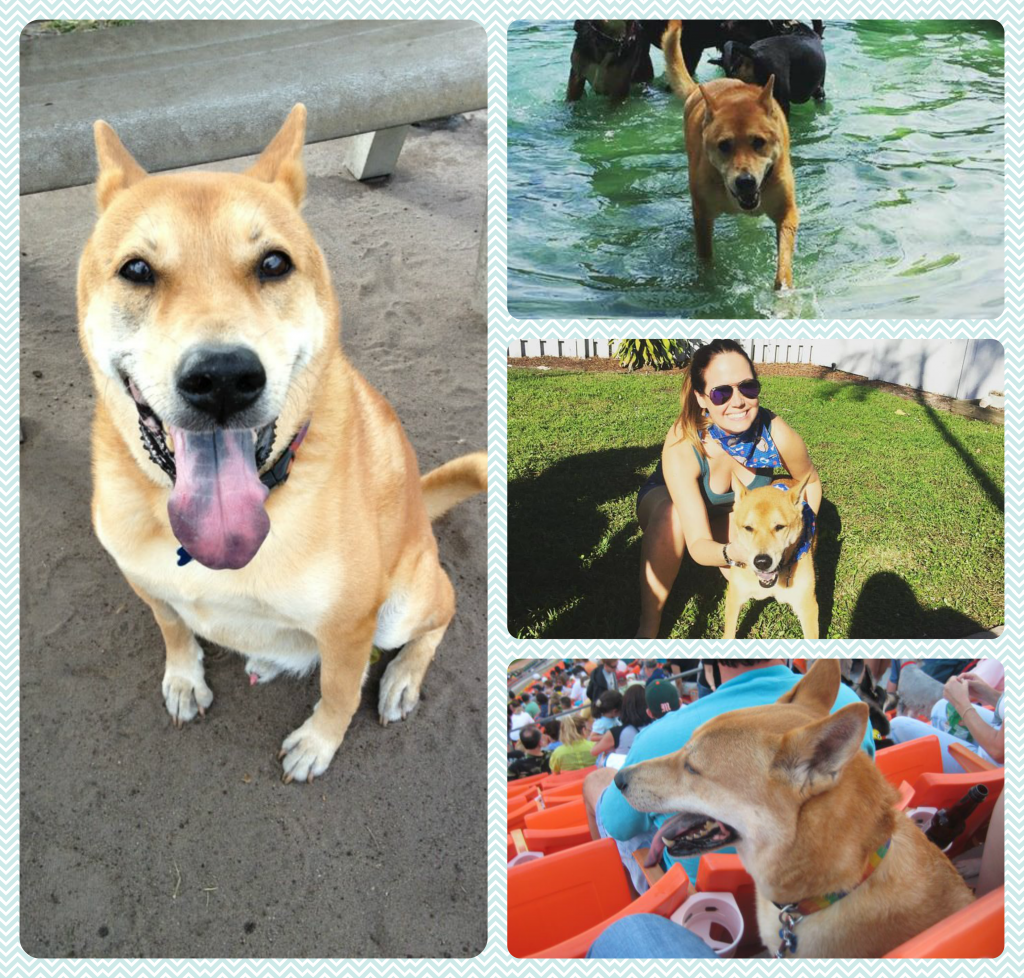 lumi collage